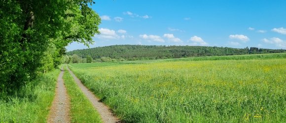 Nordic Walking Strecke