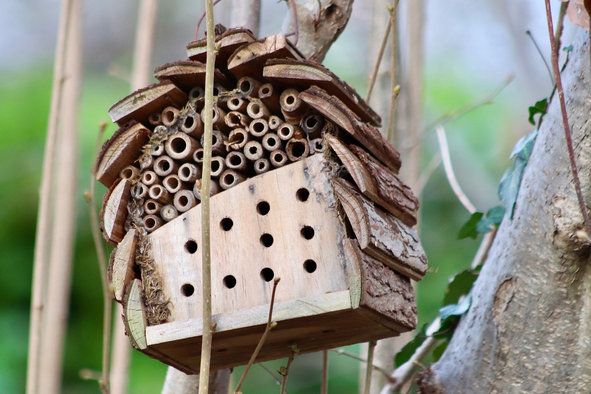Ein Insektenhotel aus Holz, welches an einem Ast aufgehängt ist