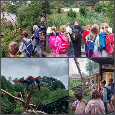 Collage Besuch Vogelpark