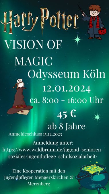 Plakat Vision of Magic Harry Potter Ausstellung